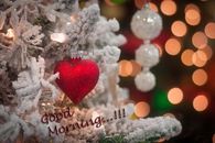 Good Morning