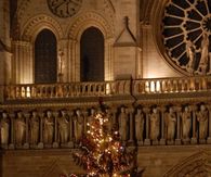 Christmas tree in Notre Dame