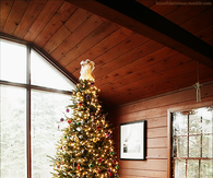 The perfect christmas