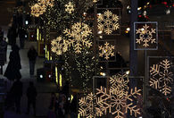 Snowflake lights