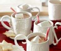 Hot cocoa, candy canes and cookies
