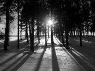 Sun shinning through