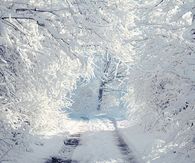 Its Finally Winter