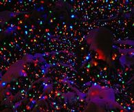 Christmas lights