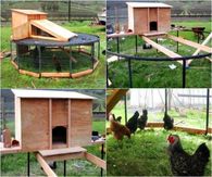 How to make a trampoline chicken coop