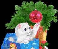 Christmas Kitty