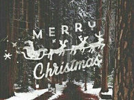 Merry Christmas
