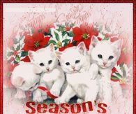 Season's Greetings