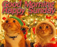 Good Morning Happy Sunday