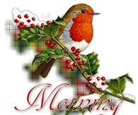 Morning