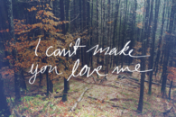 I Can't Make You Love Me