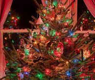 Decorated and draped christmas tree