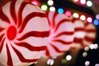 Peppermint lights
