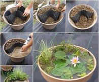 Create a mini garden pond