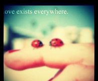 Love exists everywhere