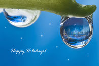 Happy Holidays