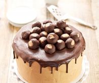 How to make a chocolate peanut butter cake