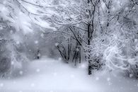 Animated Winter Snow