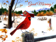 Good Morning