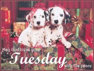 Tuesday Blessings