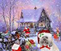 Merry Christmas Dog