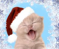 Happy Christmas Kitty