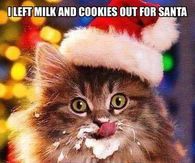 Milk and cookies fro santa