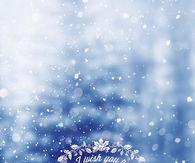 I wish you a Merry Christmas