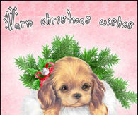Warm Christmas Wishes