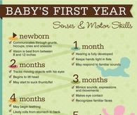 Baby's First Year