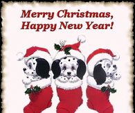 Merry Christmas & Happy New Year