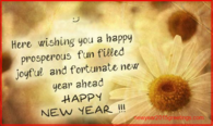 Here wishing you a happy, prosperous, fun filled, joyful and fortunate new year ahead...