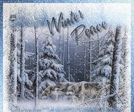 Winter Peace