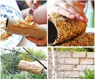 How to make a toilet roll bird feeder