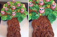 How to make an owl pull apart cake