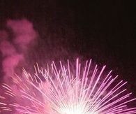 Pink Fireworks