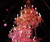 Pink Chandeliers