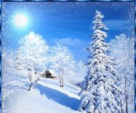 Sparkling White Winter