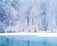 Icy Blue Winter