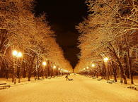 Winter Night