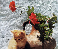 Oops.. how do I get down?