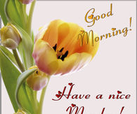 Good Morning Monday