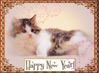 Happy New Year