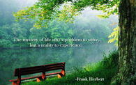The mystery of life