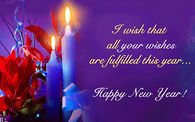 I wish that all your wishes are fulfilled this year. Happy New Year