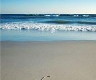 Waves in the new year