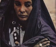 Tuareg Wandering Berber. 1973, Guardian of the family Saddlebags