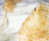 Homemade Gold Cotton Candy