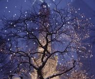 Beautiful Light Falling Snow