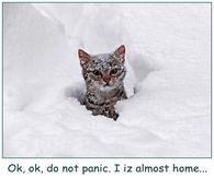 Ok, ok, do not panic. I iz almost home....